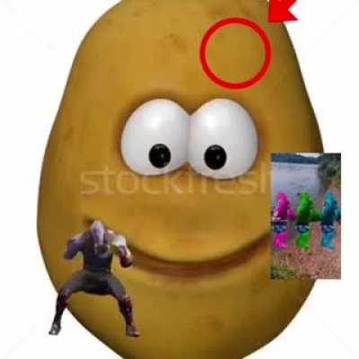 real potato vs real potato