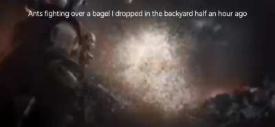 Bagel...