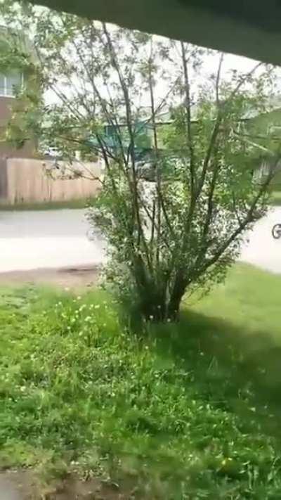 Karen makes a Black man prove his own house belongs to him