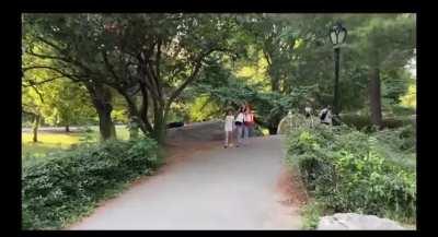 Do you ever get any intrusive thoughts?