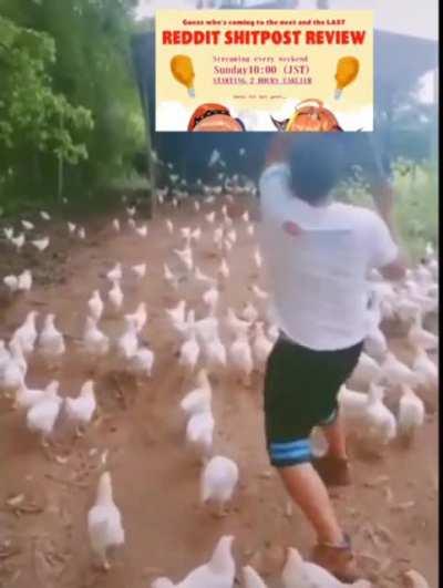 Kiara and her followers invading Coco's meme review (2021, colourized)