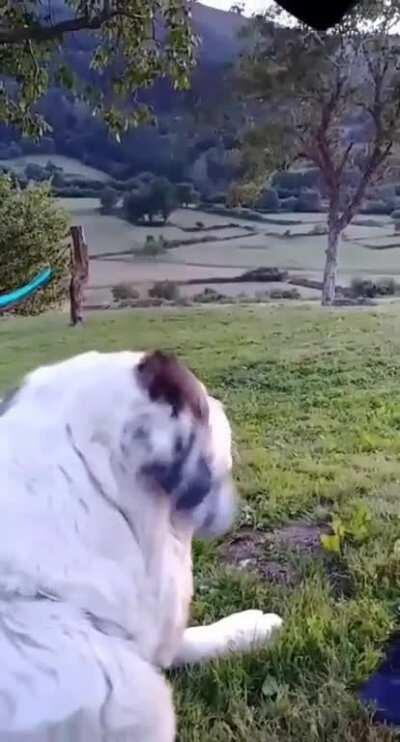 Attempting to meet Bimba