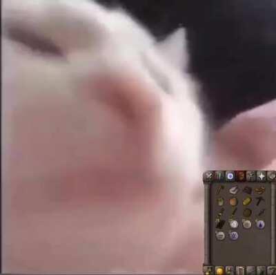 Me when she says she’s going out for a girls night