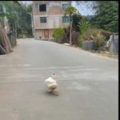 Miss World 2023 🤣