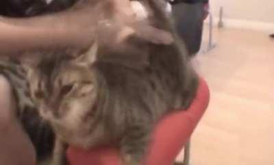 The sauce isn’t even hentai so..