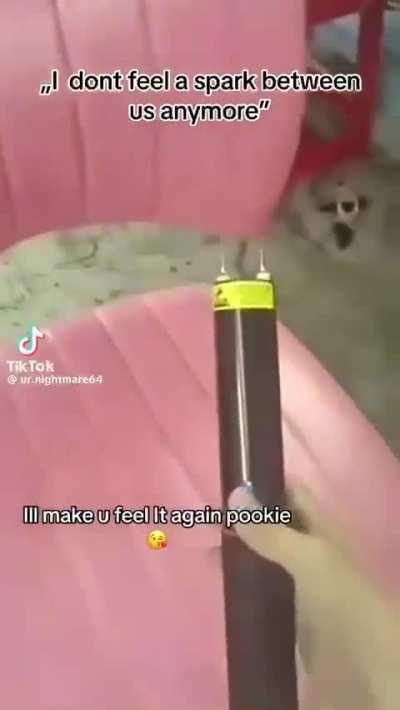 I think I feel a spark 