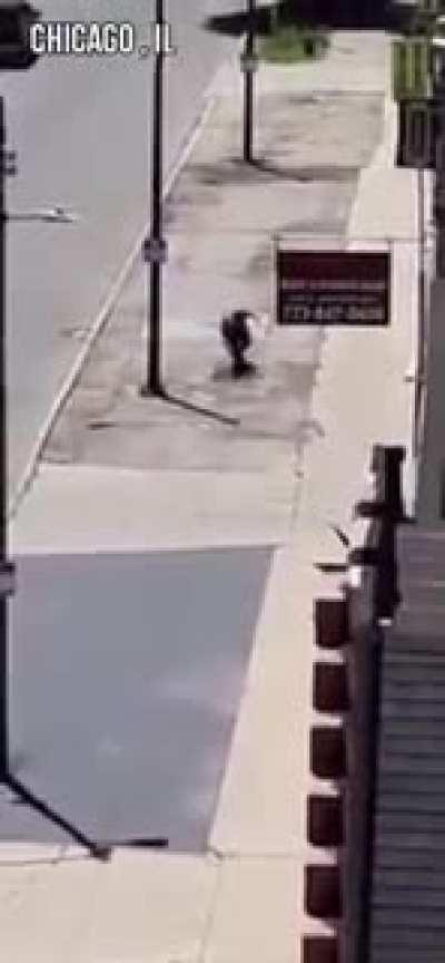 Guy throwing rocks at passing cars gets his due