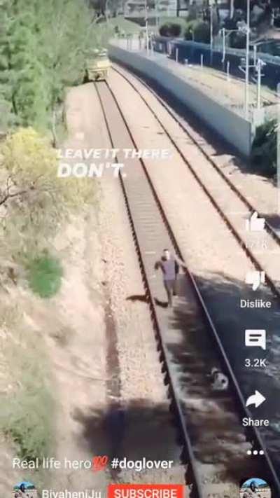 Check this out. Thoughts?