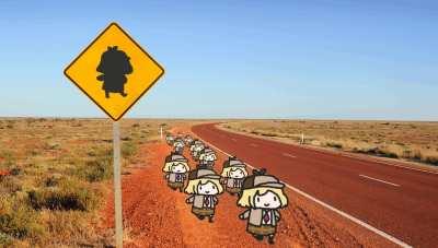 They're moving in herds. They do move in herds.