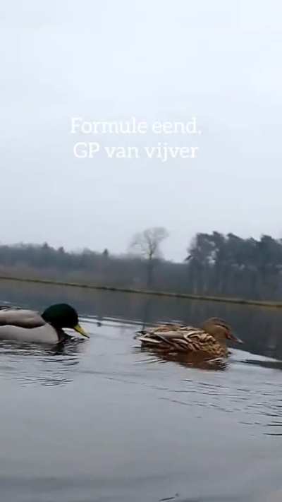 Formule eend: nu verkrijgbaar op steam, Xbox en PlayStation.