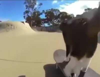 I found this on a discord server and thought it was funny