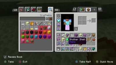 Footage of me panicking because I’m scared of Endermen