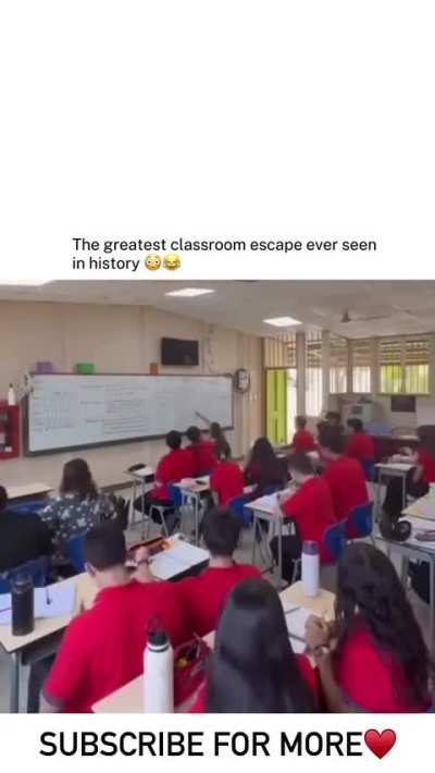 Day 374 of posting memes