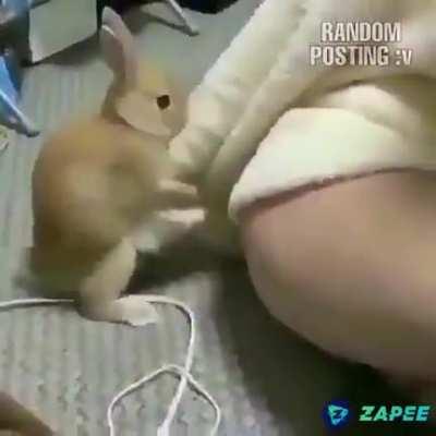 Coelinho safado😐😐😐😐