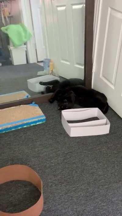 Forgot to push the button