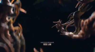 The Last of Us Opening Credits | HBO