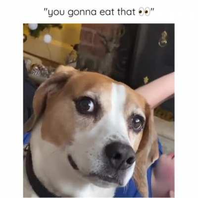 You Gonna Eat That