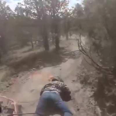 Thought this belongs here