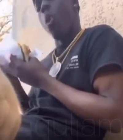 the cat is trying to say something