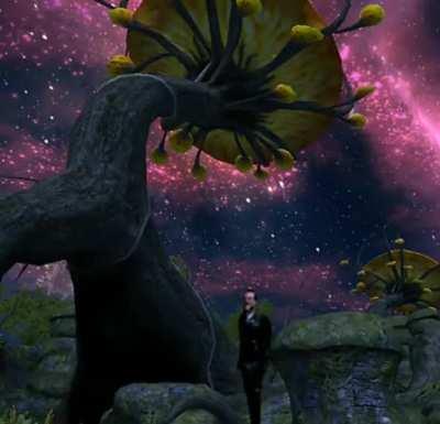 this place is magnificent!