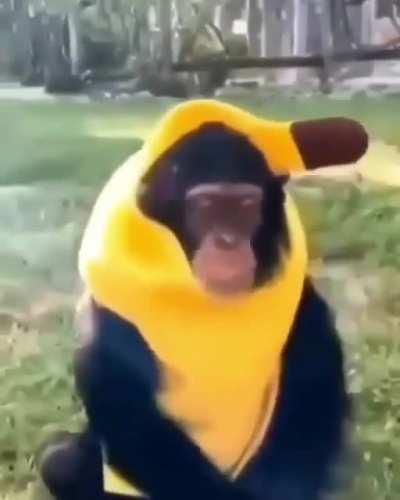 por que me grita¿¿!¿!?!1?!2