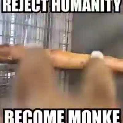 Here's some free LibCenter propaganda