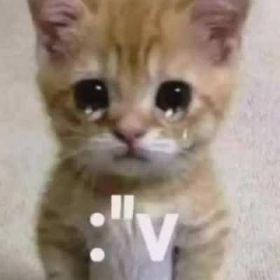 Me rechazo mi crush cabros😢