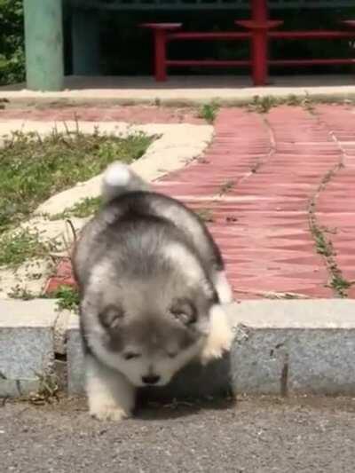 To go down a single step