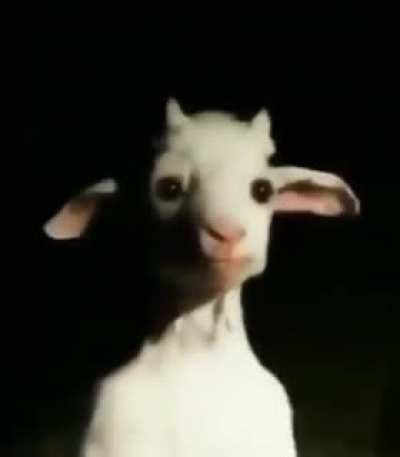 omg is that asriel dremuur from undertale in real lifeeee?