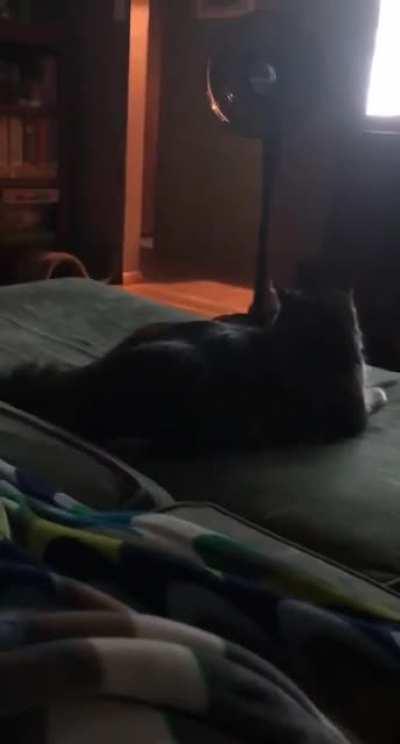 So many demons being fought in this video 🤣