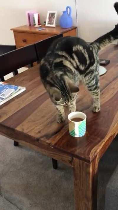 Must be a crappuccino