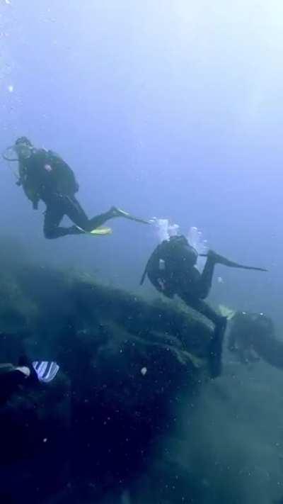 Утренний трафик здорового человека