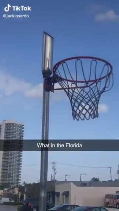 Florida basketball?