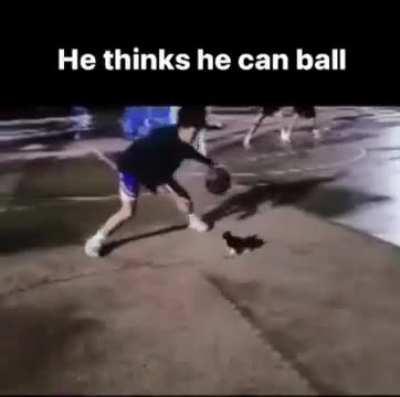 I would have done the same as Vyke if the dragons looked like that too (video unrelated)