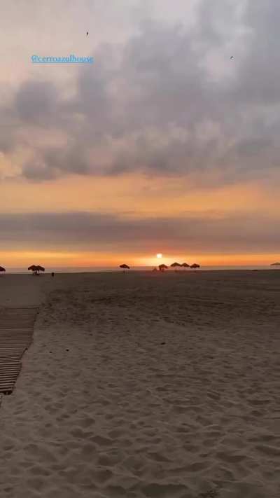 Ale Barnechea y Adriana Campo Salazar 