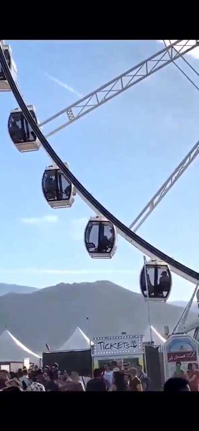 Amusement for the whole park to see