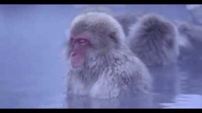 I do not wish to be Hollow anymore; I just want to be happy.