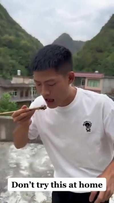 eating a wasp may not be the best idea..