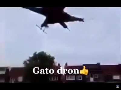 Gato dron 👍