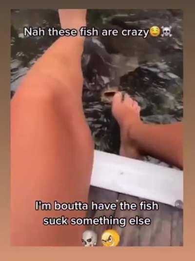 Bro what are you planning to do with the fish?😯