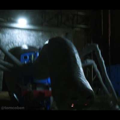 Thomas Feeds (OC)[A]