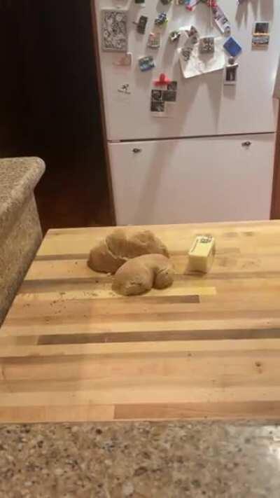 I heard her collar jingling from the office... I just didn’t know why