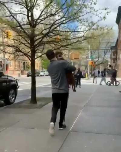 He really wanted that stick that was waaay up there