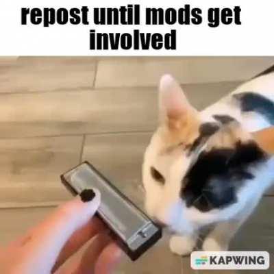 Truth is elusive, it's nowhere to be found