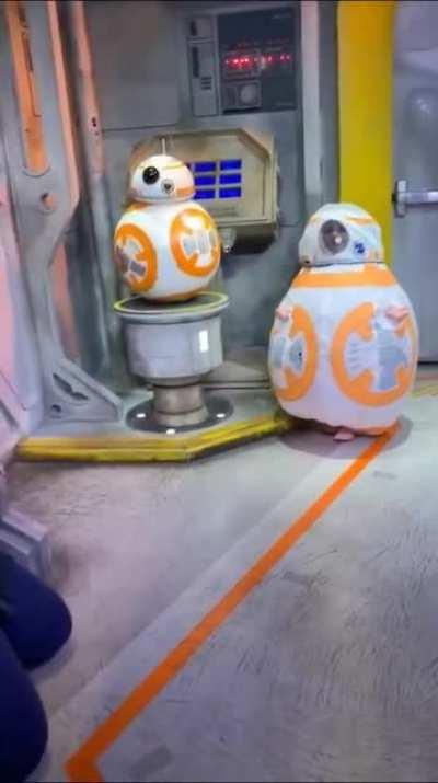 bb-8 meets bb-8
