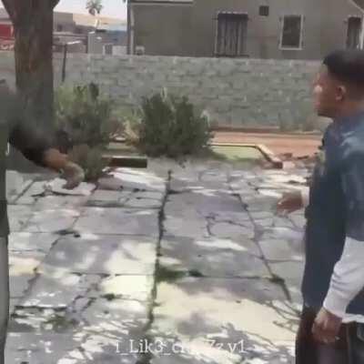 Zilla arguing with sos