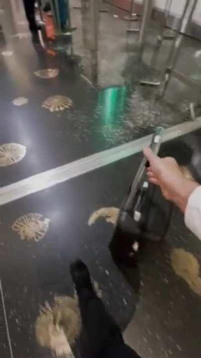 “sweet trick bro” round 2