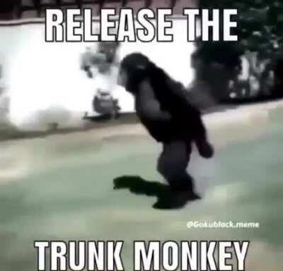 The tronk monke (my friend sent me this lol)