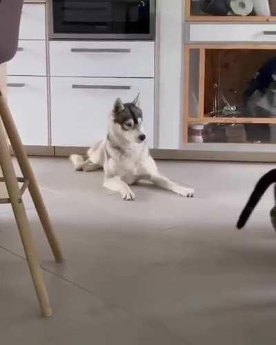 I just wanted to take a nap.