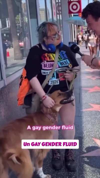 Gender fluid dog
